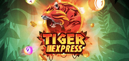 Tiger Express
