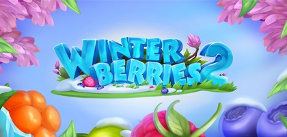 Winterberries 2